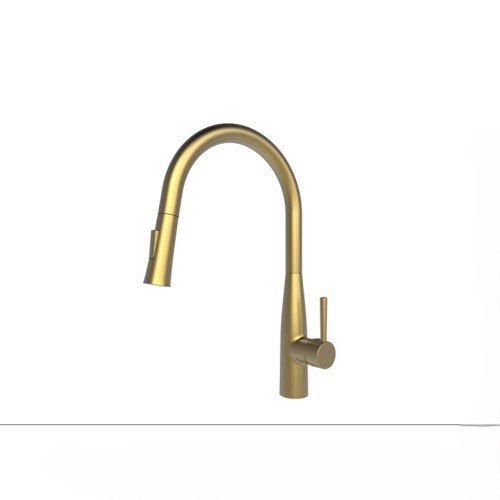 Ծորակ խոհանոցի Raiber Premium,Gr. RPG-011,ոսկ.